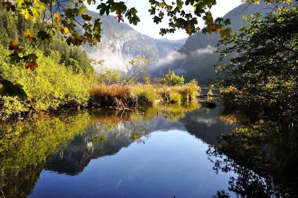 Greenheart Aussee Obersdorf Exteriör bild