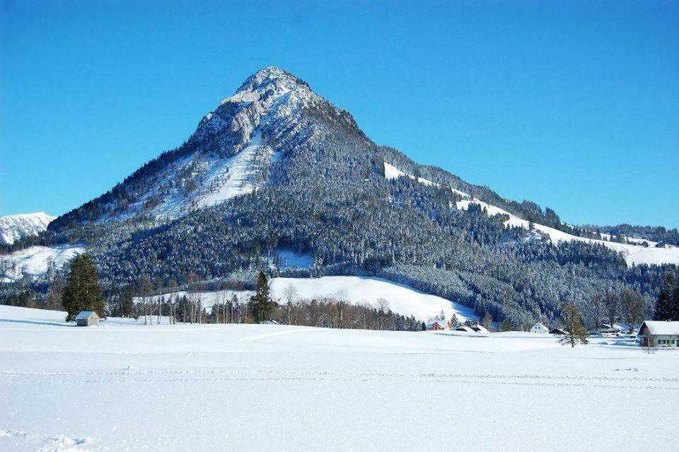Greenheart Aussee Obersdorf Exteriör bild